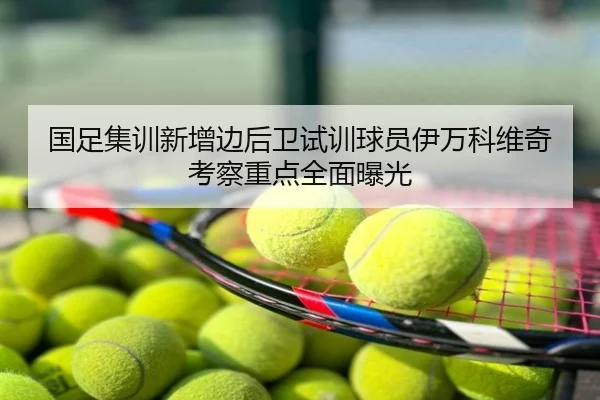 国足集训新增边后卫试训球员伊万科维奇考察重点全面曝光
